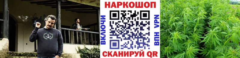 Где можно купить наркотики Почеп COCAIN  СОЛЬ  Канабис  Меф мяу мяу 