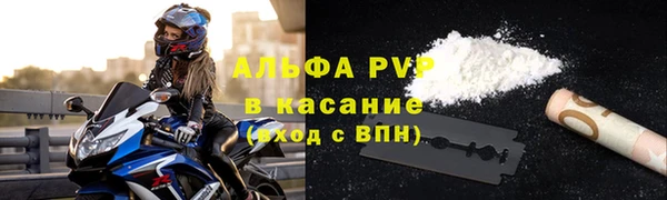 гашик Алексин