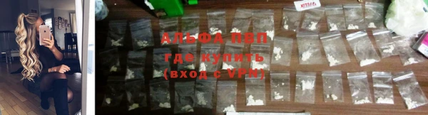гашик Алексин